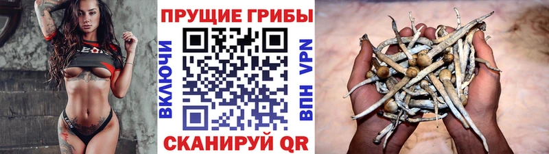 цены   hydra как зайти  Галлюциногенные грибы мицелий  Устюжна 